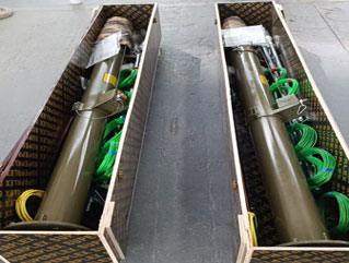 手動(dòng)可升降式避雷針